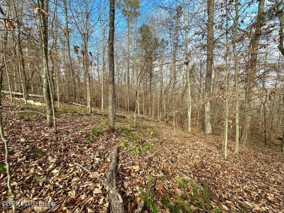 L57 Ted Logsdon Rd, Clarkson, Kentucky 42726, ,Land,For Sale,Ted Logsdon,1615044