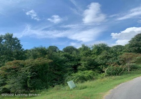 Lot 22 Hickory Ln, Russell Springs, Kentucky 42642, ,Land,For Sale,Hickory,1625522