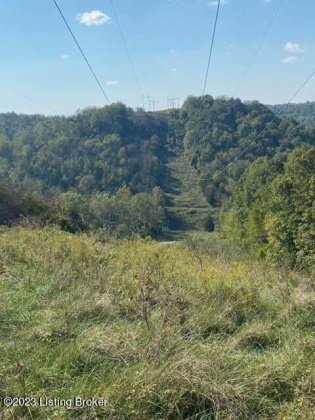 0 Hwy 184, Ghent, Kentucky 41045, ,Land,For Sale,Hwy 184,1636122
