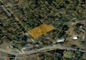 Lot 78 Briarwood Dr, Leitchfield, Kentucky 42754, ,Land,For Sale,Briarwood,1636373