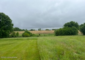 971 Mulberry Pike, Eminence, Kentucky 40019, ,Land,For Sale,Mulberry,1636592
