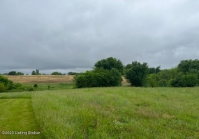 971 Mulberry Pike, Eminence, Kentucky 40019, ,Land,For Sale,Mulberry,1636592