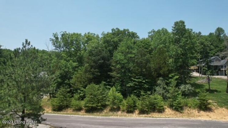 0 Moutardier Woods Rd, Leitchfield, Kentucky 42754, ,Land,For Sale,Moutardier Woods,1638494