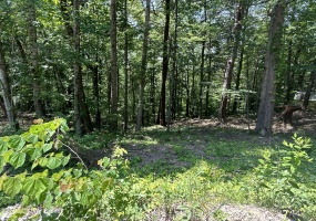 107 Pineview Dr, Mammoth Cave, Kentucky 42259, ,Land,For Sale,Pineview,1639064