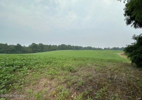 589 Duvall Rd, Caneyville, Kentucky 42721, ,Land,For Sale,Duvall,1639688