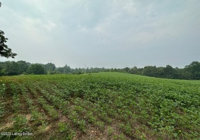 589 Duvall Rd, Caneyville, Kentucky 42721, ,Land,For Sale,Duvall,1639688