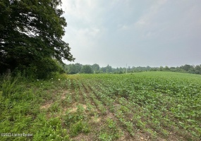 382 Duvall Rd, Caneyville, Kentucky 42721, ,Land,For Sale,Duvall,1639689