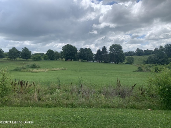 Tract 13 Arnold Ln, Bloomfield, Kentucky 40008, ,Land,For Sale,Arnold,1640134