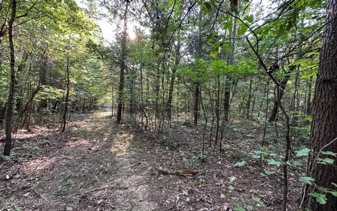 Lot 9 Woodland Ave, Clarkson, Kentucky 42726, ,Land,For Sale,Woodland,1643611