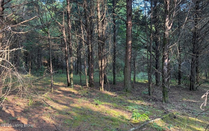 Lot 9 Woodland Ave, Clarkson, Kentucky 42726, ,Land,For Sale,Woodland,1643611