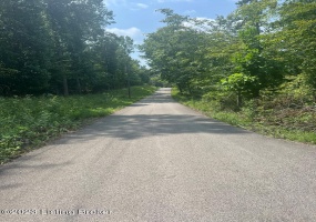 69, 70, 71 brier Hill Rd, Mammoth Cave, Kentucky 42259, ,Land,For Sale,brier Hill,1643912