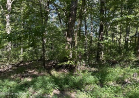191 & 192 Lakeview, New Haven, Kentucky 40051, ,Land,For Sale,Lakeview,1644373