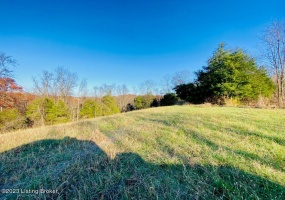 2172 Brush Grove Rd, Willisburg, Kentucky 40078, ,Land,For Sale,Brush Grove,1650017