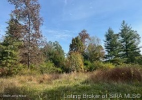 2202 Old State Rd, Henryville, Indiana 47126, ,Land,For Sale,Old State,1647513