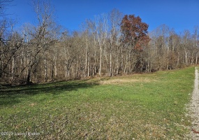 Tract 5 Round Bottom Rd, Magnolia, Kentucky 42757, ,Land,For Sale,Round Bottom,1651280