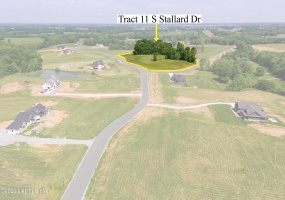 Tract 11 Stallard Springs, Shelbyville, Kentucky 40065, ,Land,For Sale,Stallard Springs,1652203