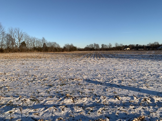 7065 Loretto Rd, Bardstown, Kentucky 40004, ,Land,For Sale,Loretto,1652954