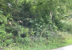 32, 33, 34 Melody Dr, New Haven, Kentucky 40051, ,Land,For Sale,Melody,1653493