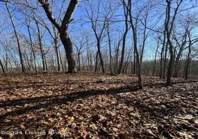 0 Cooper Rd, Greenup, Kentucky 41144, ,Land,For Sale,Cooper,1653896